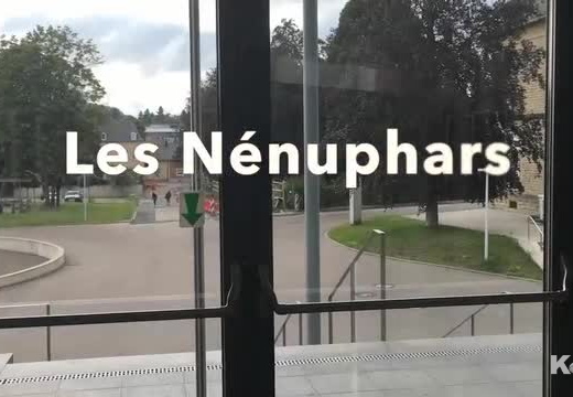 Les Nénuphars